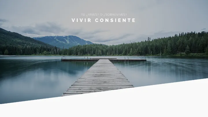 Captura de la página de inicio de Vivir Consiente, sitio desarrollado por LandoHOUSE